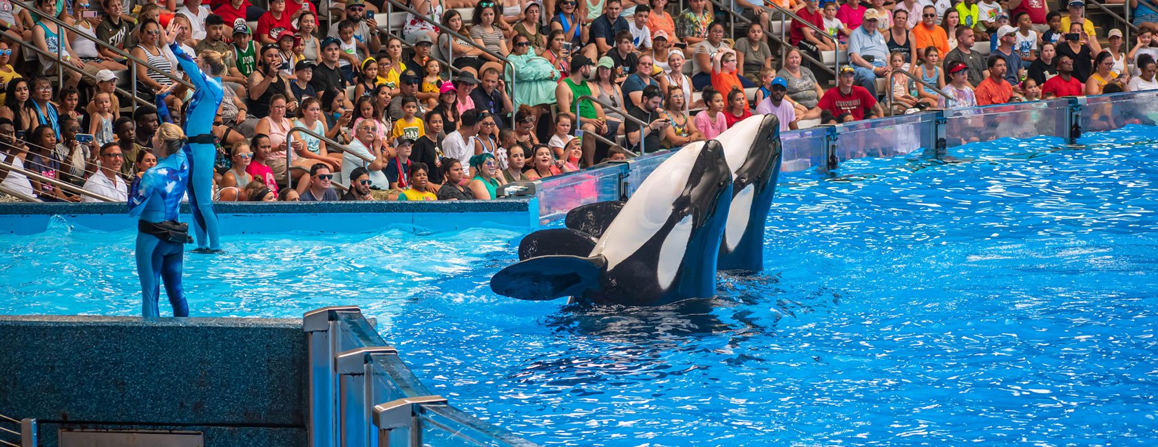 SeaWorld Discount Tickets - PerksExpress.com